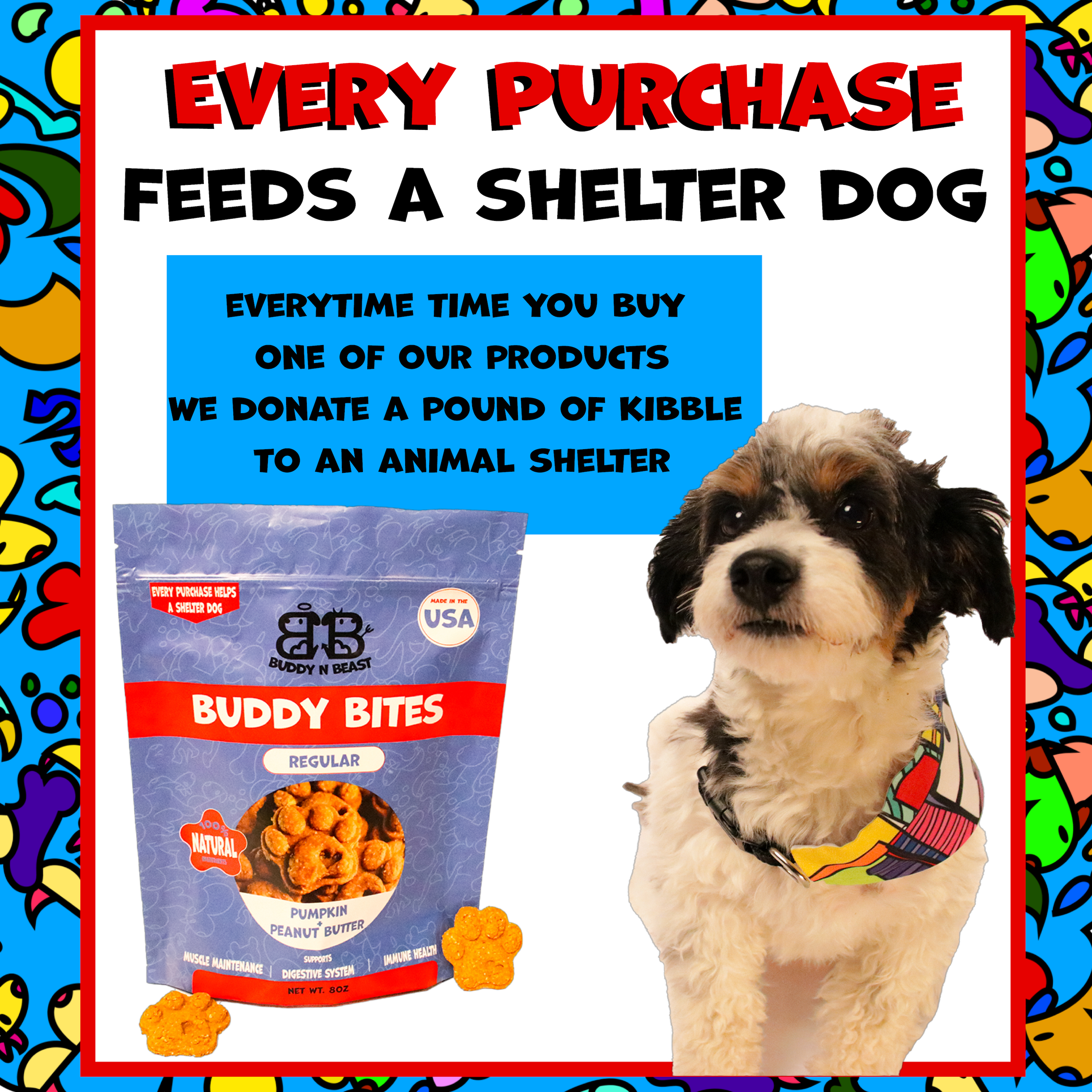 Paw Snacks - Regular
